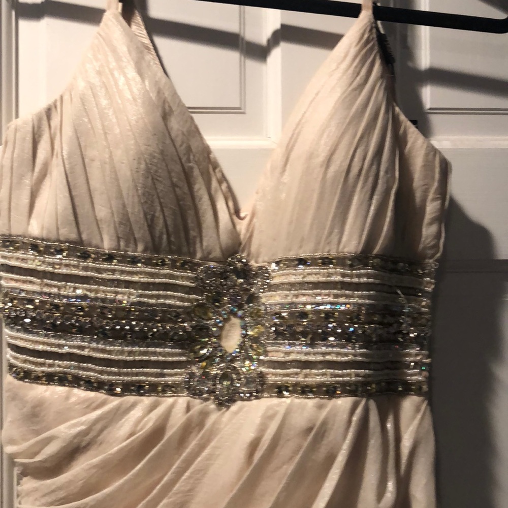 Terani couture dress